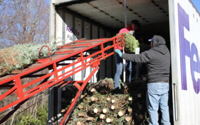 2024 Trees for Troops celebrates its 300,000th Tree Donation